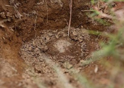 Hallan en fosa clandestina los cuerpos de pareja estadounidense desaparecida en México