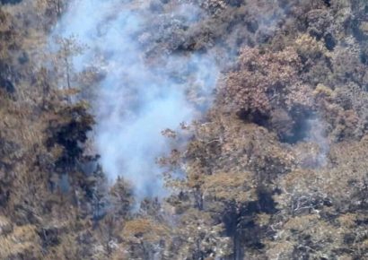 Incendio en Sierra de Bahoruco impactó más de 1,200 hectáreas