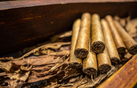 Exportaciones de tabaco en RD superan los 1,359 millones de dólares en 2025