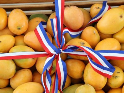Estados Unidos suspende importación de mango dominicano y pone en riesgo un mercado de más de 50 millones de dólares