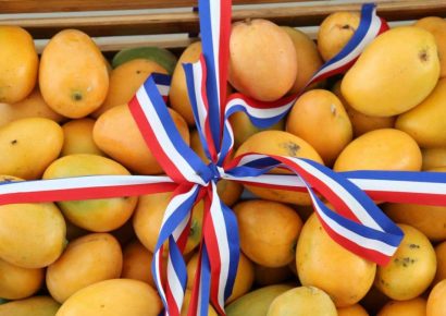 Estados Unidos suspende importación de mango dominicano y pone en riesgo un mercado de más de 50 millones de dólares