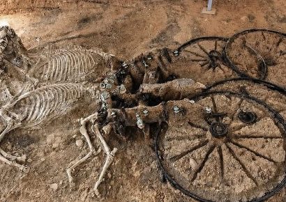 Descubren en Bulgaria un carro tracio de 2.000 años de antigüedad junto a restos de caballos