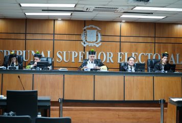 TSE aplaza demanda de nulidad contra 33 partidos minoritarios