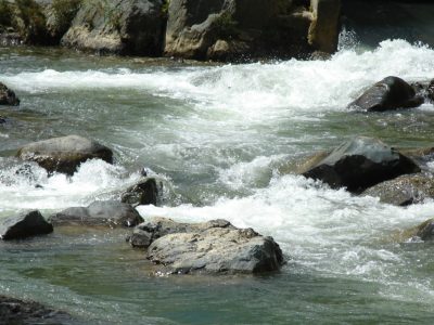 Medio Ambiente impulsa acciones para proteger y restaurar la cuenca del río Yaque del Norte