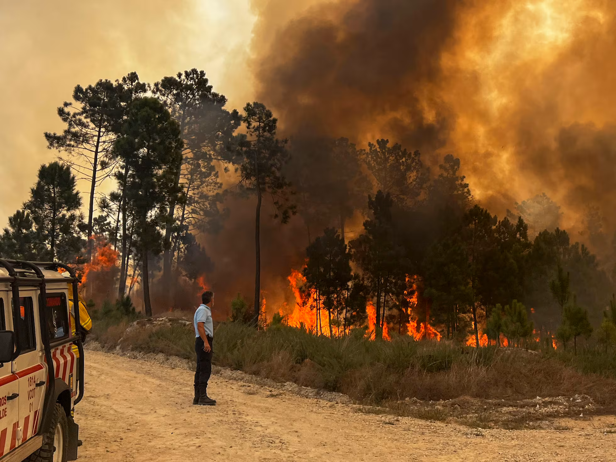 Incendio forestal obliga a evacuar varios municipios del noreste de Portugal