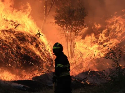 Portugal enfrenta cinco incendios activos en un escenario crítico
