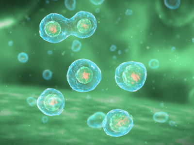 Científicos crean primera célula sintética capaz de completar ciclo vital