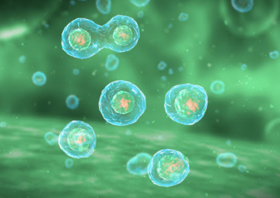 Científicos crean primera célula sintética capaz de completar ciclo vital