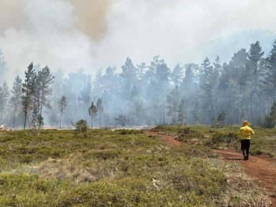 Nuevo incendio forestal golpea Sierra de Bahoruco en medio de sequía
