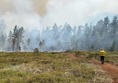 Nuevo incendio forestal golpea Sierra de Bahoruco en medio de sequía