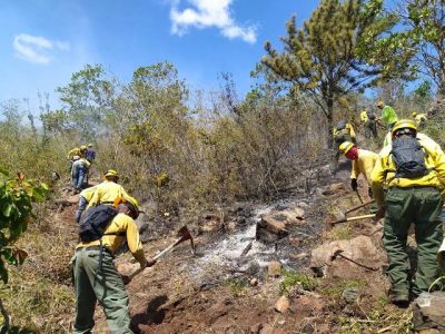 Ministerio de Medio Ambiente y autoridades intensifican acciones para controlar fuego en el Valle del Tetero