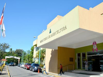 Agricultura activa plan nacional contra chinche de la espiga