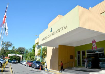 Agricultura activa plan nacional contra chinche de la espiga