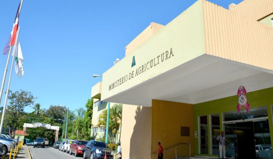 Agricultura activa plan nacional contra chinche de la espiga