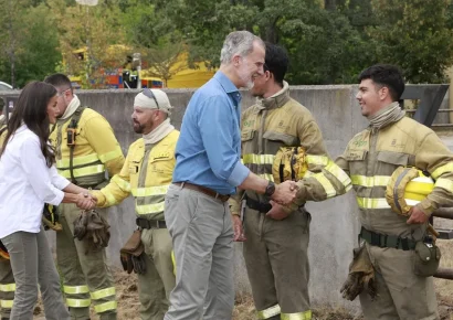 Felipe VI agradece apoyo europeo en lucha contra incendios