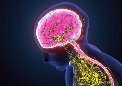 Stephen Porges: el sistema nervioso es clave para prevenir conflictos