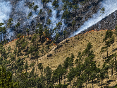 Quema agrícola provocó incendio forestal en Valle Nuevo