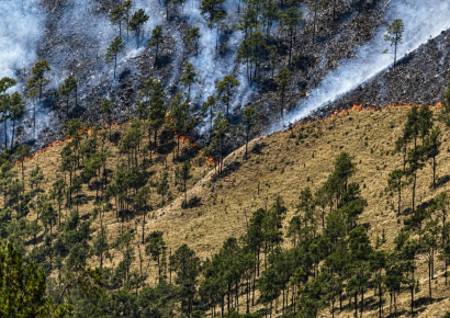 Quema agrícola provocó incendio forestal en Valle Nuevo