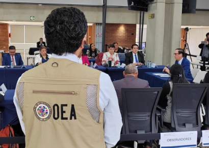 OEA exige transparencia en elección del próximo contralor de Guatemala