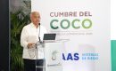 RD tiene oportunidad de ampliar su participación en el mercado mundial del coco