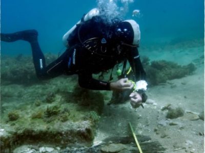 Arqueólogos franceses y dominicanos documentan 26 hallazgos de naufragios históricos en aguas del Caribe