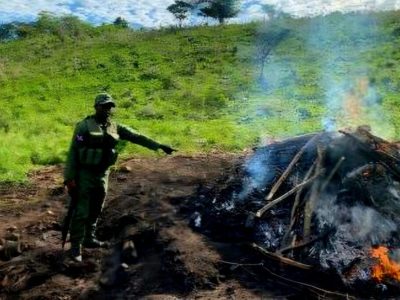 SENPA desmantela horno clandestino para producir carbón vegetal en Samaná
