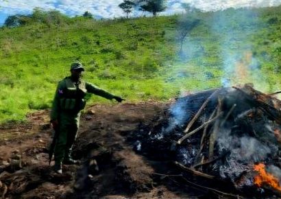 SENPA desmantela horno clandestino para producir carbón vegetal en Samaná