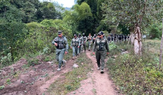 Operativo ambiental deja 531 detenidos y recupera más de 1,000 tareas de tierra