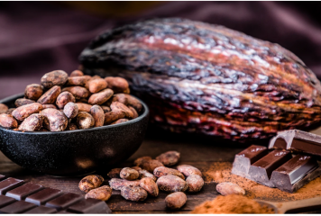 Cacao dominicano alcanza US$669 millones en exportaciones y será protagonista del Festival del Chocolate