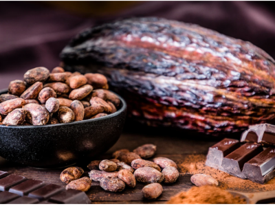 Cacao dominicano alcanza US$669 millones en exportaciones y será protagonista del Festival del Chocolate