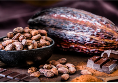 Cacao dominicano alcanza US$669 millones en exportaciones y será protagonista del Festival del Chocolate