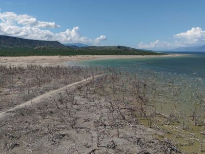 RD alerta en COP17 sobre riesgo de sequía en 2026