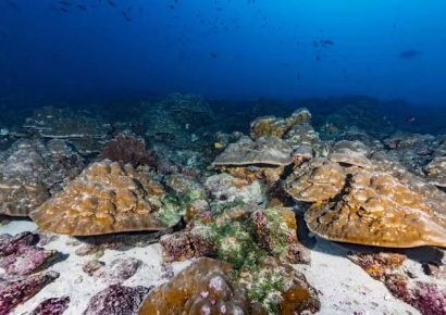 Estudio confirma que El Niño es 37 % más intenso por el cambio climático
