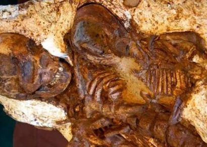 Descubren en isla sueca restos de mujer y feto de hace 9,000 años