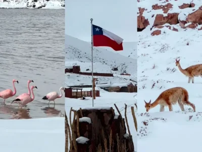 Desierto de Atacama en Chile amanece cubierto de nieve y deja sorprendentes imágenes en Machuca