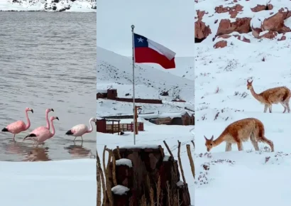 Desierto de Atacama en Chile amanece cubierto de nieve y deja sorprendentes imágenes en Machuca