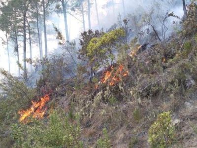 Incendio afecta Parque Nacional Valle Nuevo