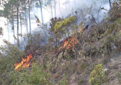 Incendio afecta Parque Nacional Valle Nuevo