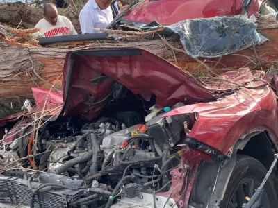 Accidente en el kilómetro 21 de Las Américas: árbol cae sobre dos vehículos y deja seis personas heridas