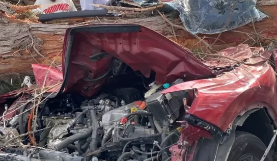 Accidente en el kilómetro 21 de Las Américas: árbol cae sobre dos vehículos y deja seis personas heridas