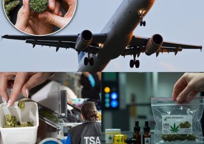 Autoridades estadounidenses advierten a viajeros sobre riesgos de llevar cannabis al extranjero
