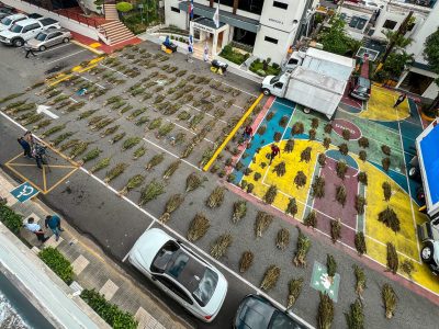 DNCD desmantela dos plantaciones de marihuana en Azua