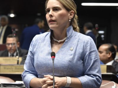Diputada Barceló propone escáneres de metales en escuelas