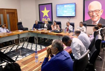 Orden de la boleta de la Consulta del PLD