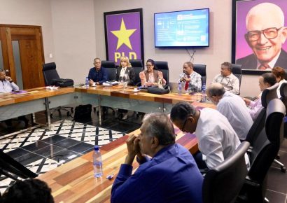 Orden de la boleta de la Consulta del PLD