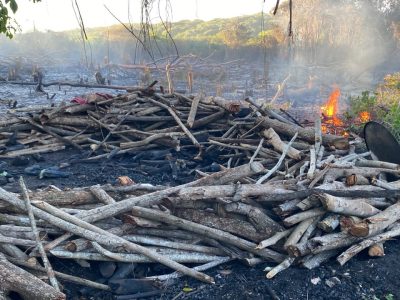 Medio Ambiente arresta a dos haitianos por presunta quema de vegetación en las montañas de Santa Elena, Barahona