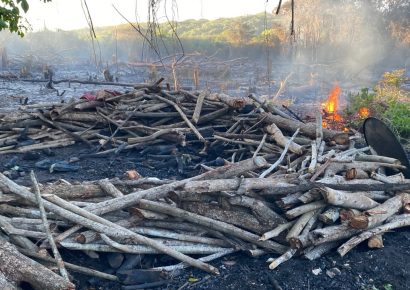 Medio Ambiente arresta a dos haitianos por presunta quema de vegetación en las montañas de Santa Elena, Barahona