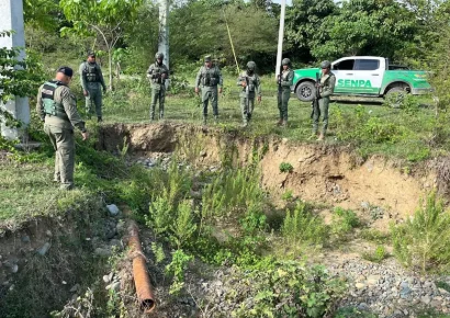 SENPA ejecuta operativos en varias provincias tras denuncias por daños ambientales