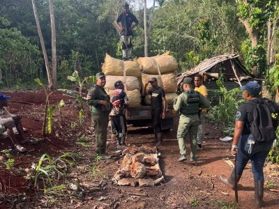 Medio Ambiente en conjunto con Senpa decomisa 169 sacos de carbón vegetal en Puerto Plata