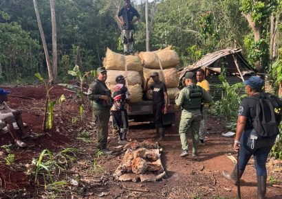 Medio Ambiente en conjunto con Senpa decomisa 169 sacos de carbón vegetal en Puerto Plata
